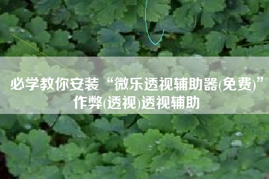 必学教你安装“微乐透视辅助器(免费)”作弊(透视)透视辅助