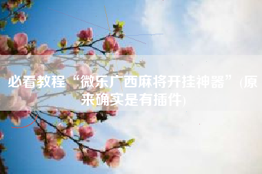 必看教程“微乐广西麻将开挂神器	”(原来确实是有插件)