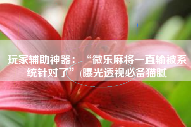 玩家辅助神器：“微乐麻将一直输被系统针对了”(曝光透视必备猫腻