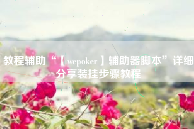 教程辅助“【wepoker】辅助器脚本”详细分享装挂步骤教程