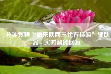 3分钟教程“微乐陕西三代有挂嘛”辅助器 - 实时智能回复