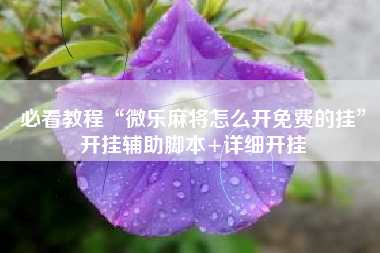 必看教程“微乐麻将怎么开免费的挂”开挂辅助脚本+详细开挂