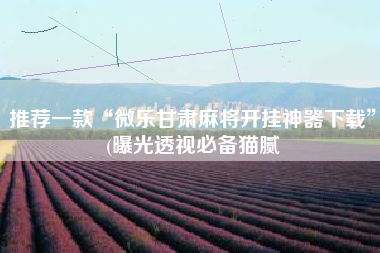 推荐一款“微乐甘肃麻将开挂神器下载”(曝光透视必备猫腻