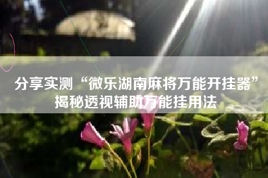 分享实测“微乐湖南麻将万能开挂器	”揭秘透视辅助万能挂用法