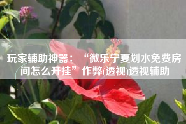 玩家辅助神器：“微乐宁夏划水免费房间怎么开挂	”作弊(透视)透视辅助