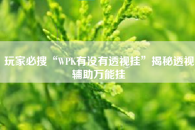 玩家必搜“WPK有没有透视挂”揭秘透视辅助万能挂