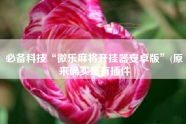 必备科技“微乐麻将开挂器安卓版”(原来确实是有插件