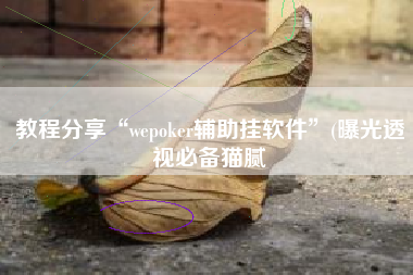 教程分享“wepoker辅助挂软件”(曝光透视必备猫腻