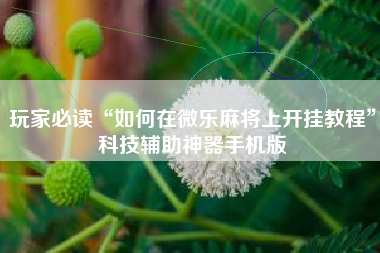 玩家必读“如何在微乐麻将上开挂教程”科技辅助神器手机版