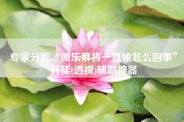 专家分析“微乐麻将一直输怎么回事	”开挂(透视)辅助神器