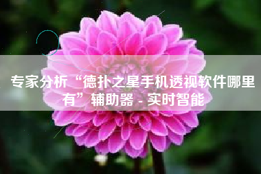 专家分析“德扑之星手机透视软件哪里有”辅助器 - 实时智能