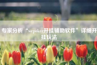 专家分析“wepoker开挂辅助软件”详细开挂玩法