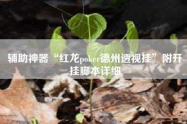 辅助神器“红龙poker德州透视挂”附开挂脚本详细