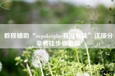 教程辅助“wepokerplus有没有挂”详细分享装挂步骤教程