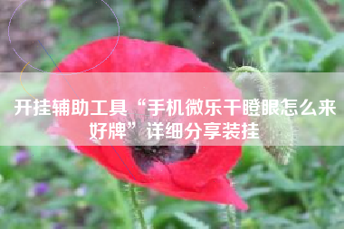 开挂辅助工具“手机微乐干瞪眼怎么来好牌	”详细分享装挂