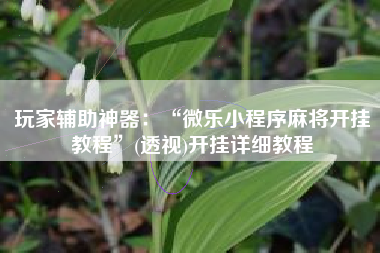 玩家辅助神器：“微乐小程序麻将开挂教程”(透视)开挂详细教程