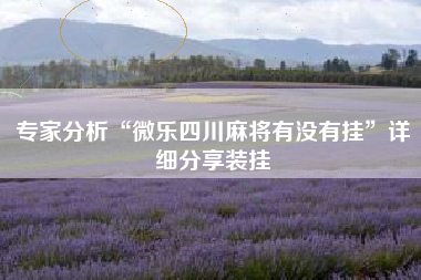 专家分析“微乐四川麻将有没有挂	”详细分享装挂