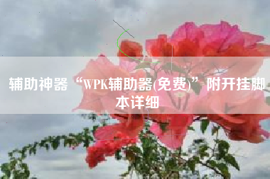 辅助神器“WPK辅助器(免费)	”附开挂脚本详细