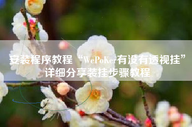 安装程序教程“WePoKer有没有透视挂	”详细分享装挂步骤教程