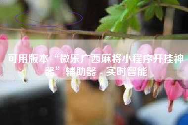 可用版本“微乐广西麻将小程序开挂神器”辅助器 - 实时智能