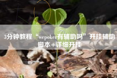 3分钟教程“wepoker有辅助吗	”开挂辅助脚本+详细开挂