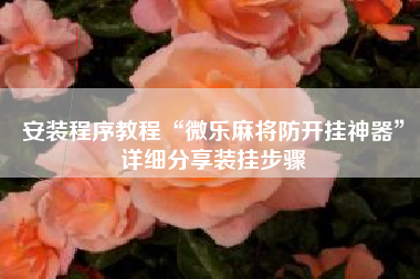 安装程序教程“微乐麻将防开挂神器”详细分享装挂步骤