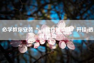 必学教你安装“wpk软件辅助挂”开挂(透视)辅助