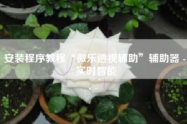 安装程序教程“微乐透视辅助”辅助器 - 实时智能