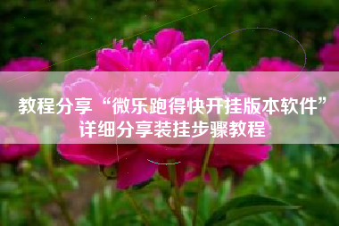 教程分享“微乐跑得快开挂版本软件”详细分享装挂步骤教程