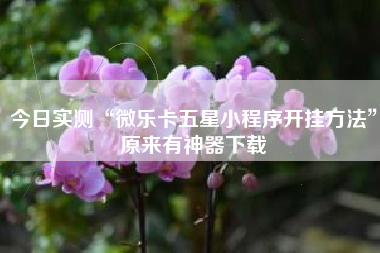 今日实测“微乐卡五星小程序开挂方法	”原来有神器下载