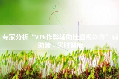 专家分析“WPK作弊辅助挂透视软件”辅助器 - 实时智能