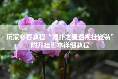 玩家必看教程“德扑之星透视挂安装	”附开挂脚本详细教程