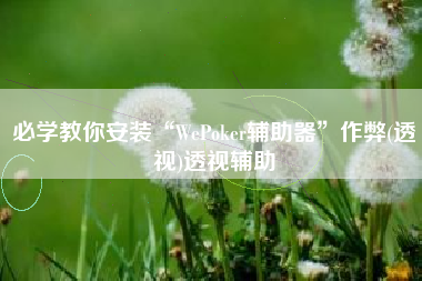 必学教你安装“WePoker辅助器”作弊(透视)透视辅助