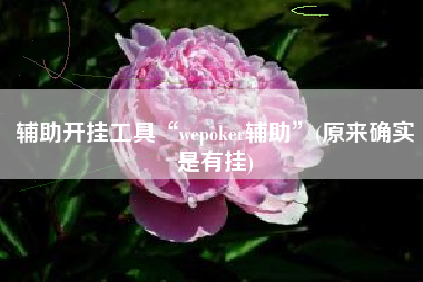 辅助开挂工具“wepoker辅助”(原来确实是有挂)