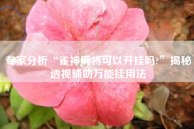 专家分析“雀神麻将可以开挂吗?”揭秘透视辅助万能挂用法