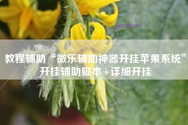 教程辅助“微乐辅助神器开挂苹果系统	”开挂辅助脚本+详细开挂