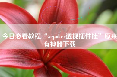 今日必看教程“wepoker透视插件挂	”原来有神器下载