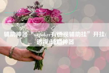 辅助神器“wepoker有透视辅助挂”开挂(透视)辅助神器