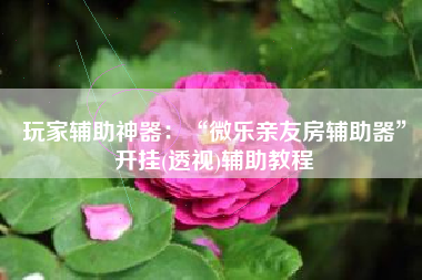 玩家辅助神器：“微乐亲友房辅助器	”开挂(透视)辅助教程