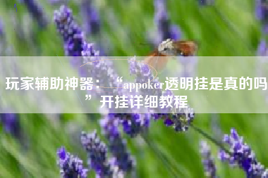 玩家辅助神器：“appoker透明挂是真的吗	”开挂详细教程