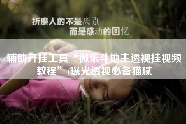 辅助开挂工具“微乐斗地主透视挂视频教程	”(曝光透视必备猫腻