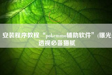 安装程序教程“pokemmo辅助软件”(曝光透视必备猫腻