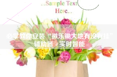 必学教你安装“微乐锄大地有没有挂	”辅助器 - 实时智能