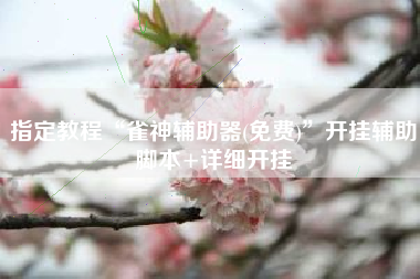 指定教程“雀神辅助器(免费)”开挂辅助脚本+详细开挂