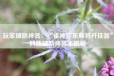 玩家辅助神器：“雀神广东麻将开挂器”科技辅助神器手机版