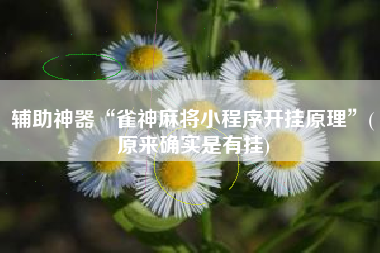 辅助神器“雀神麻将小程序开挂原理	”(原来确实是有挂)