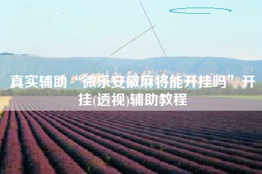 真实辅助“微乐安徽麻将能开挂吗”开挂(透视)辅助教程