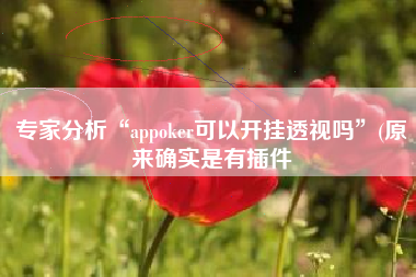 专家分析“appoker可以开挂透视吗	”(原来确实是有插件