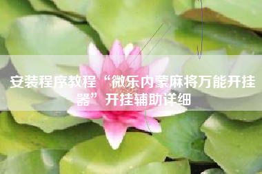 安装程序教程“微乐内蒙麻将万能开挂器”开挂辅助详细