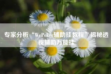 专家分析“WePoker辅助挂教程	”揭秘透视辅助万能挂